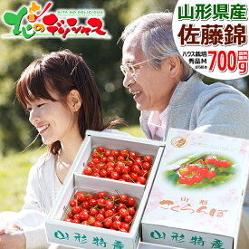 父の日 プレゼント さくらんぼ 佐藤錦 700g (秀品/Mサイズ/ばら詰め/化粧箱入り) 2024 父の日ギフト ギフト 贈り物 山形県産 サクランボ 果物 フルーツ 黄色いバラ 父の日カード 山形県 東根市 産地直送 送料無料 お取り寄せ