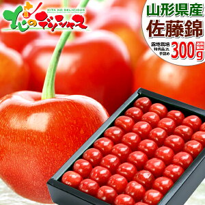 y\zR`Y   300g (In/Gi/IׂTCY/l/ϔ/N[①) 2026 { TN{  ăMtg  Mtg 蕨 j  Ԃ j v
