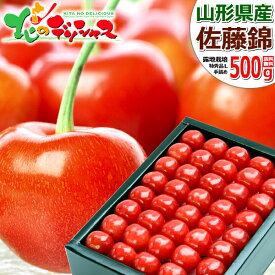 【予約】山形県産 さくらんぼ 佐藤錦 500g (露地/特秀品/選べるサイズ/手詰め/化粧箱入り/クール冷蔵便) 2026 旬 サクランボ 初夏 夏ギフト お中元 ギフト 贈り物 お祝い お礼 お返し 内祝い プレゼント ご家庭用 果物 フルーツ 山形県 東根市 送料無料 お取り寄せ