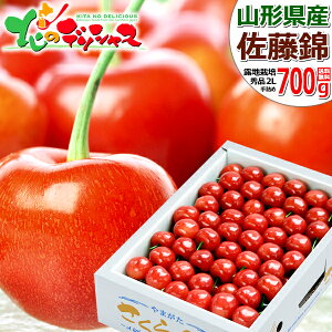y\zR`Y   700g (In/Gi/IׂTCY/l/ϔ/N[①) 2026 { TN{  ăMtg  Mtg 蕨 j  Ԃ j v