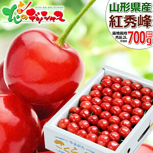 y\zR`Y  gG 700g (In/Gi/2LTCY/l/ϔ/N[①) 2026 { TN{  ăMtg  Mtg 蕨  j  Ԃ j v