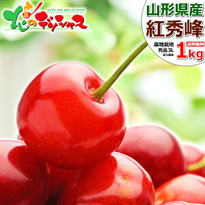 y\zR`Y  gG 1kg (In/Gi/IׂTCY/΂l/500g×2p/ϔ/N[①) 2026 { TN{  ăMtg  Mtg 蕨 j j v[