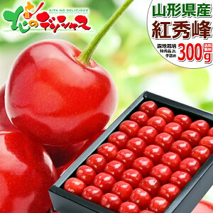 y\zR`Y  gG 300g (In/Gi/IׂTCY/l/ϔ/N[①) 2026 { TN{  ăMtg  Mtg 蕨  j  j v