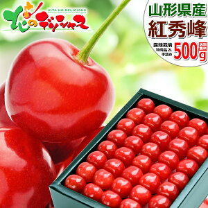 y\zR`Y  gG 500g (In/Gi/IׂTCY/l/ϔ/N[①) 2026 { TN{  ăMtg  Mtg 蕨  j  Ԃ v