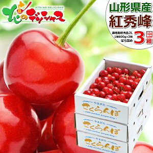 y\zR`Y  gG 1.8kg (In/Gi/IׂTCY/΂l/600g×3/ϔ/N[①) 2026 { TN{  ăMtg  Mtg 蕨 j j v[