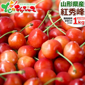 山形県産 ご家庭用 さくらんぼ 紅秀峰 1kg (訳あり/Mサイズ/ばら詰め/クール便) 旬 露地 わけあり サクランボ べにしゅうほう バラ詰め 自宅用 家庭用 おうち用 お得 最安値に挑戦 食べ放題 果物 フルーツ 山形県 東根市 産地直送 送料無料 お取り寄せ