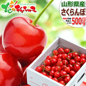 山形県産 中玉 晩成 さくらんぼ 500g (貯蔵品/秀品/Lサイズ/ばら詰め/化粧箱入り/クール便) サクランボ Lサイズ 中玉 お中元 ギフト 贈り物 贈答 お祝い お礼 プレゼント 果物 フルーツ 山形県 東根市 産地直送 送料無料 お取り寄せ