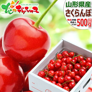 y\zR`Y Ӑ  500g (i/Gi/LTCY/΂l/ϔ/N[①) 2026 { Ӑ TN{  ăMtg  Mtg 蕨 j j v[g 