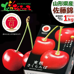 y\zR`Y GI   1kg (In/Gi/LTCY/΂l/500g×2p/ϔ/N[①) 2026 { TN{  ăMtg  Mtg 蕨 j j v[