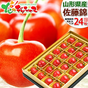 y\zR`Y   (In/Gi/IׂTCY/24/ϔ/N[①) 2026 { TN{  ăMtg  Mtg 蕨  j  Ԃ j v