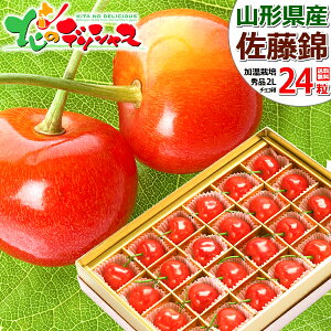 y\z̓ R`Y   (nEX͔|/Gi/24/ϔ/퉷) 2026 ̓Mtg Mtg 蕨 j v[g ԂJ[l[V ̓bZ[WJ[h 