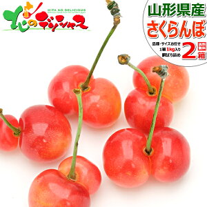 y\/͂wsz R`Y ƒp oq  1kg (In/󂠂/΂l/Yn/N[①) 2026 { TN{  ƒp p p   Ղ H