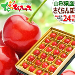 y\zR`Y Ӑ  (i/Gi/IׂTCY/124/ϔ/N[①) 2026 { Ӑ TN{  ăMtg  Mtg 蕨 j j v[g 