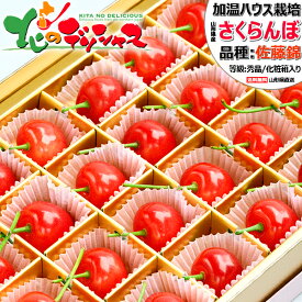 【出荷中】山形県産 さくらんぼ 佐藤錦 (ハウス栽培/秀品/24粒入り/化粧箱/クール冷蔵便) 2026 ギフト 贈り物 お祝い お礼 お返し 内祝い プレゼント ご家庭用 サクランボ 果物 フルーツ 産地直送 山形 お取り寄せ