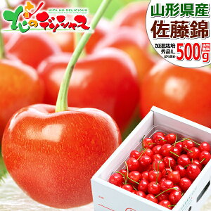 y\zR`Y   500g (nEX͔|/Gi/MorLTCY/΂l/ϔ/퉷) 2026 Mtg 蕨 j  Ԃ j v[g TN{ R` s Yn
