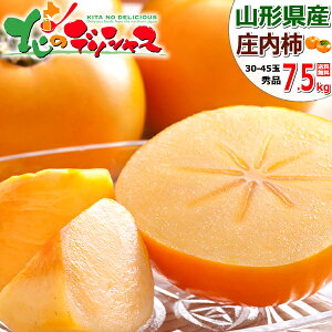 y\zR`Y ` (Gi/Mtgp) H̖o `  JL 傤Ȃ R` n 3kg 5kg 7.5kg ~Mtg Ε Mtg 蕨  j  Ԃ j v[g lC 