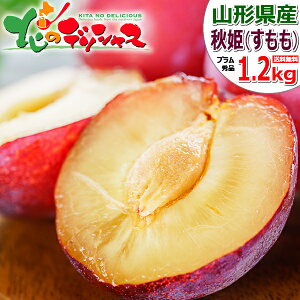 yo׊ԋ߁zR`Y v HP 1.2kg (Gi/6ʁ`11ʓ/①) v  X { Ђ HP ăMtg c Mtg 蕨  j  Ԃ v[g