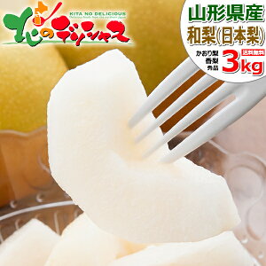 y\zR`Y a 藜 (Gi) H̖o {   藜  2kg 3kg Mtg 蕨  j  Ԃ v[g p p lC ʕ t[c R` 