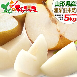 yoגzR`Y a  (Gi/①) H̖o {   ◜ n Y nY 2kg 3kg 5kg Mtg 蕨  j  Ԃ v[g p 