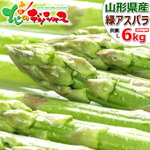 y\z R`Y O[AXp (LTCY/①) { AXp AXpKX O[AXpKX  O[ 600g 1.2kg 2kg 3kg 6kg Mtg 蕨 j j v[g p ƒ