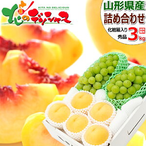 yoגzR`Y R`̉ʎ 2Flߍ킹 3kg BZbg (Gi/VC}XJbgoraorm)  VC}XJbg a m Mtg 蕨 j   j v[