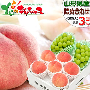 yoגzR`Y R`̉ʎ 2Flߍ킹 3kg AZbg (Gi/VC}XJbgoraorm)  VC}XJbg a m Mtg 蕨 j   j v[