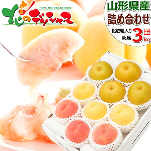 yoגzR`Y R`̉ʎ 3Flߍ킹 3kg DZbg (Gi/aorm)    a m m Mtg 蕨 j   j  v[g ʕ t