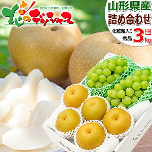 yoגzR`Y R`̉ʎ 2Flߍ킹 3kg CZbg (Gi/mVC}XJbg) ~̉ʎ R`Y Ԃǂ VC}XJbg a m ~Mtg Ε Mtg 蕨 