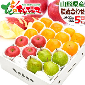 y\zR`Y ~̉ʎ 3Flߍ킹 DZbg TӂEtX` (Gi/Mtgp) H̖o  m ` 2kg 3kg 5kg ~Mtg Ε Mtg 蕨  j  