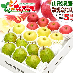 y\zR`Y ~̉ʎ 3Flߍ킹 EZbg Tӂ&EtX&VimS[h (Gi/Mtgp) R`Y  m 2kg 3kg 5kg ~Mtg Ε Mtg 蕨  j  