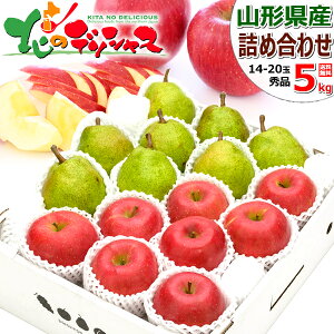 y\zR`Y ~̉ʎ 2Flߍ킹 CZbg TӂEtX (Gi/Mtgp) R`Y  m 2kg 3kg 5kg ~Mtg Ε Mtg 蕨  j  Ԃ v[