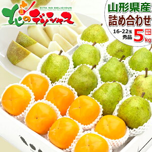 y\zR`Y ~̉ʎ 2Flߍ킹 AZbg EtX` (Gi/Mtgp) H̖o m ` 2kg 3kg 5kg ~Mtg Ε Mtg 蕨  j  Ԃ j v[