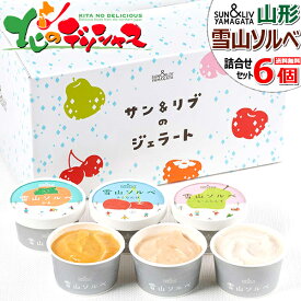 サン＆リブ 雪山ソルベ 詰合せ (6個)セット 山形食品株式会社 ソルベ フランス シャーベット アメリカ アイス 冷菓 氷菓 詰め合わせ 高級 ギフト 贈り物 お祝い お礼 お返し 内祝い プレゼント スイーツ 果物 フルーツ 送料無料 お取り寄せ 【出荷場:山形県H】