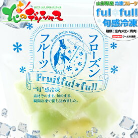山形県産 冷凍フルーツ 庄内メロン (青肉メロン/1袋 100g/冷凍便)国産 個包装 fulfull fui full フローズンフルーツ 冷凍果物 冷凍フルーツ 無添加 無着色 ギフト 贈り物 贈答 お祝い プレゼント シャーベット 果物 フルーツ スイーツ 送料無料 お取り寄せ