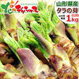 【順次出荷中/お届け日指定不可】山形県産 山菜 タラの芽 春の味覚 旬の味覚 山の幸 山菜の王様 たらの芽 タラノ芽 たらのめ タラノメ 500g 1kg ギフト 贈り物 プレゼント 自宅用 家庭用 おうち用 天然 東北 山形 産地直送 グルメ お取り寄せ 【出荷場:山形県H】