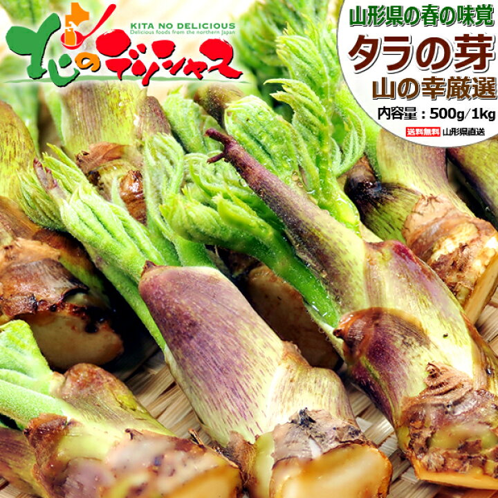 楽天市場】【予約/お届け日指定不可】 山形県産 山菜 タラの芽 春の 