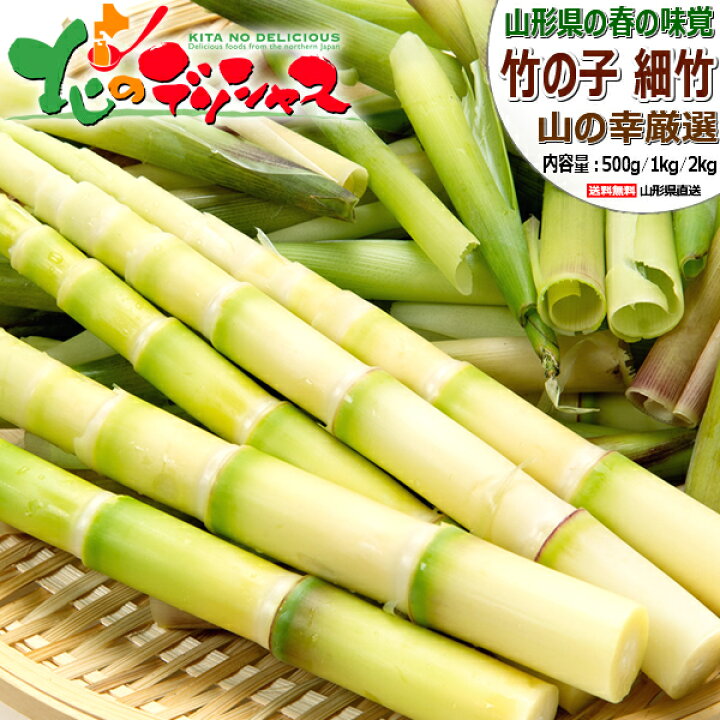 楽天市場】【出荷間近/お届け日指定不可】山形県産 山菜 天然 細竹 