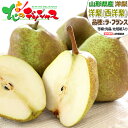 【出荷中】山形県産 西洋梨 ラ・フランス (秀品) 旬 冬の味覚 洋梨 ラフランス 追熟 追熟 食べ頃 2kg 3kg 5kg 冬ギフ…