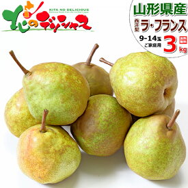 【出荷中】山形県産 西洋梨 ご家庭用 ラ・フランス (訳あり/常温便) 旬 冬の味覚 洋梨 ラフ ラフランス 追熟 食べ頃 2kg 3kg 5kg わけあり 訳あり 自宅用 家庭用 おうち用 食べ放題 人気 売れ筋 果物 フルーツ 山形県 東根市 産地直送 お取り寄せ