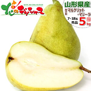 yo׊ԋ߁zR`Y m }QbgE}[ (Gi) { H̖o m Ǐn H׍ 2kg 5kg Mtg 蕨  v[g  Ԃ j j ʕ t[c lC  R`