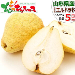 y\zR`Y m Ghh (Gi) { ~̖o m tX Ǐn Ǐn H׍ 2kg 5kg ~Mtg Ε Mtg 蕨  j  Ԃ j v[g lC ʕ t[