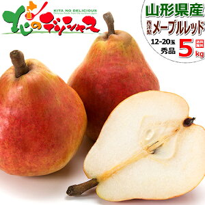 y\zR`Y m [vbh (Gi) { H̖o m Ǐn H׍ 2kg 5kg Mtg 蕨  v[g  Ԃ j j ʕ t[c lC  R` s 