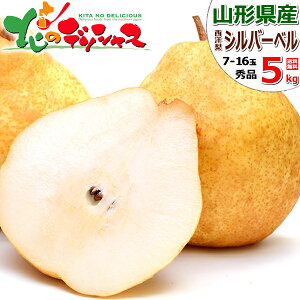 y\zR`Y m Vo[x (Gi) { ~̖o m tX Ǐn H׍ 2kg 5kg ~Mtg Ε Mtg 蕨  j  Ԃ j v[g lC ʕ t[c 