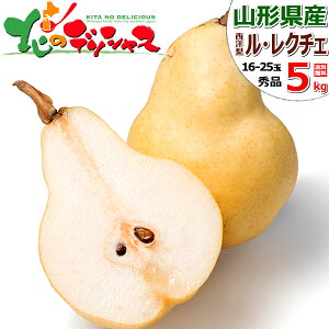 y\zR`Y m EN`F (Gi) { ~̖o m tX Ǐn Ǐn H׍ 2kg 5kg ~Mtg Ε Mtg 蕨  j  Ԃ j v[g lC ʕ t