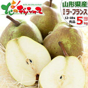 y\zR`Y m EtX (Gi) { ~̖o m tX Ǐn Ǐn H׍ 2kg 3kg 5kg ~Mtg Ε Mtg 蕨  j  Ԃ j v[g lC ʕ t