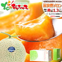 お中元 北海道産 富良野メロン (JA共撰/秀品/サイズ:1玉 1.3kg/小玉) JAふらの ふらのメロン 赤肉 夏ギフト 御中元 暑…