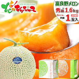 【出荷中 お届け日時指定OK】お盆 北海道産 富良野メロン (JA共撰/秀品/サイズ:1玉 1.6kg/中玉) お中元 熨斗OK JAふらの ふらのメロン 赤肉 夏ギフト 暑中見舞い 残暑見舞い ギフト 贈り物 贈答 お祝い お礼 お供え 果物 フルーツ 北海道 送料無料 お取り寄せ