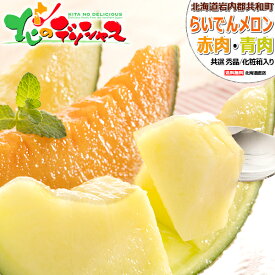 【予約】北海道産 らいでんメロン 2玉セット (赤肉＆青肉/共撰/秀品) フルーツ メロン 青肉メロン JAきょうわ 3大産地 夏ギフト 暑中御見舞 残暑御見舞 ギフト 贈り物 お祝い お礼 お返し 内祝い お盆 お供え 北海道 共和町 送料無料 お取り寄せ