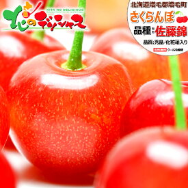 【予約】北海道産 増毛町 さくらんぼ 佐藤錦 (秀品/L以上/手詰め/化粧箱入り/クール便) フルーツ サクランボ 600g 1kg お中元 御中元 暑中見舞い ギフト 贈り物 贈答 お祝い お礼 お返し プレゼント 人気 おすすめ 果物 北海道 送料無料 お取り寄せ