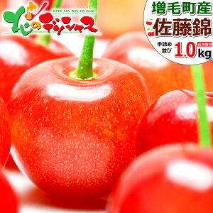 y\zkCY ђ   (Gi/Lȏ/l/ϔ/N[) t[c TN{ 600g 1kg  䒆  Mtg 蕨  j  Ԃ v[